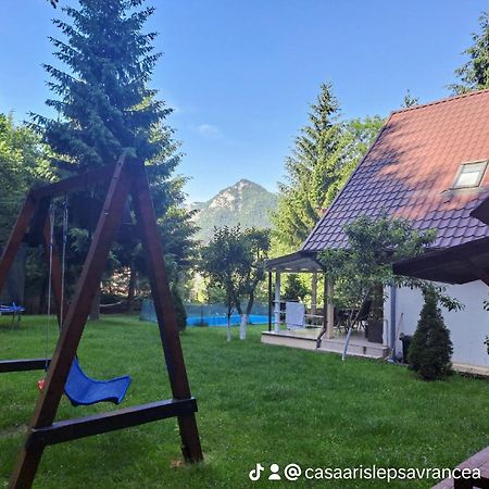 Hotel Casa Aris Lepsa Vrancea Extérieur photo