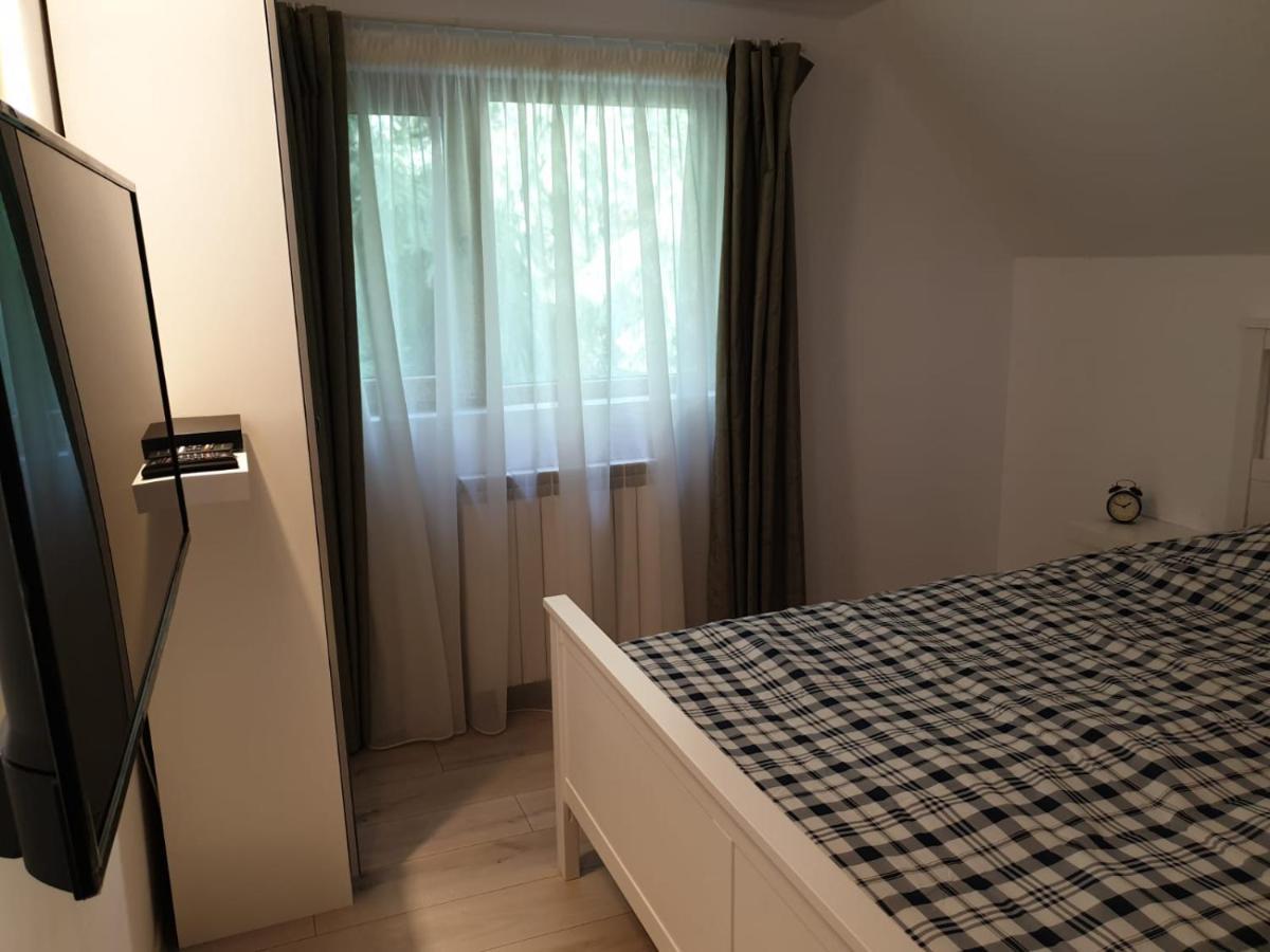 Hotel Casa Aris Lepsa Vrancea Extérieur photo
