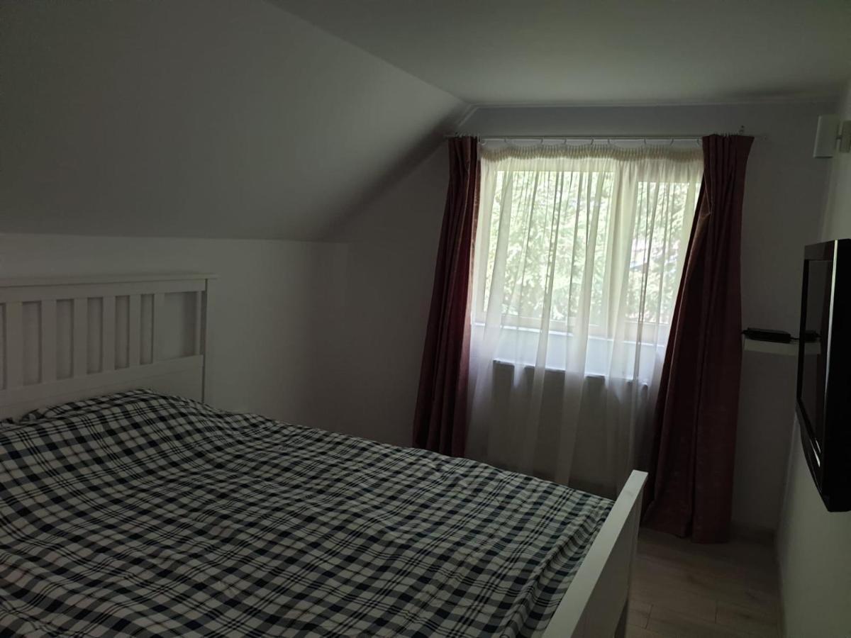 Hotel Casa Aris Lepsa Vrancea Extérieur photo