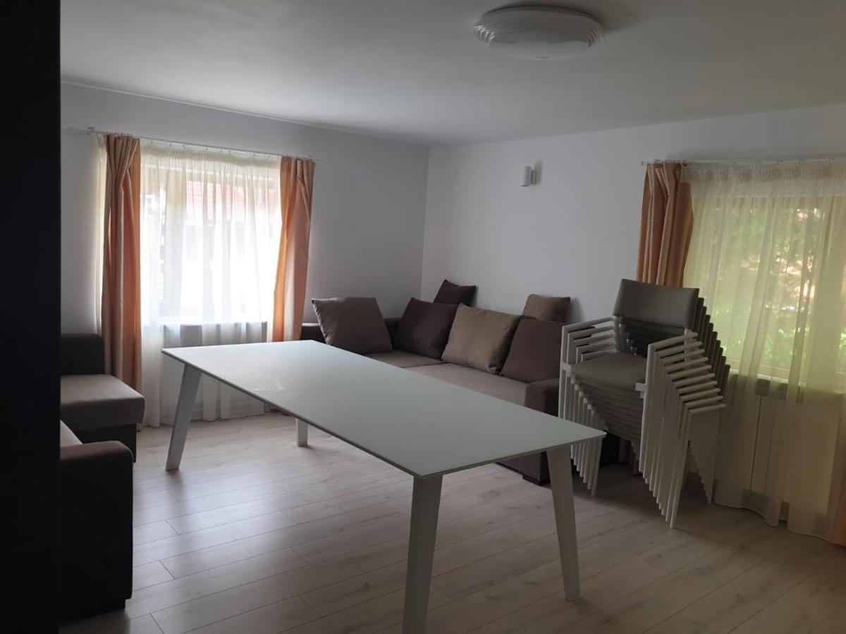 Hotel Casa Aris Lepsa Vrancea Extérieur photo