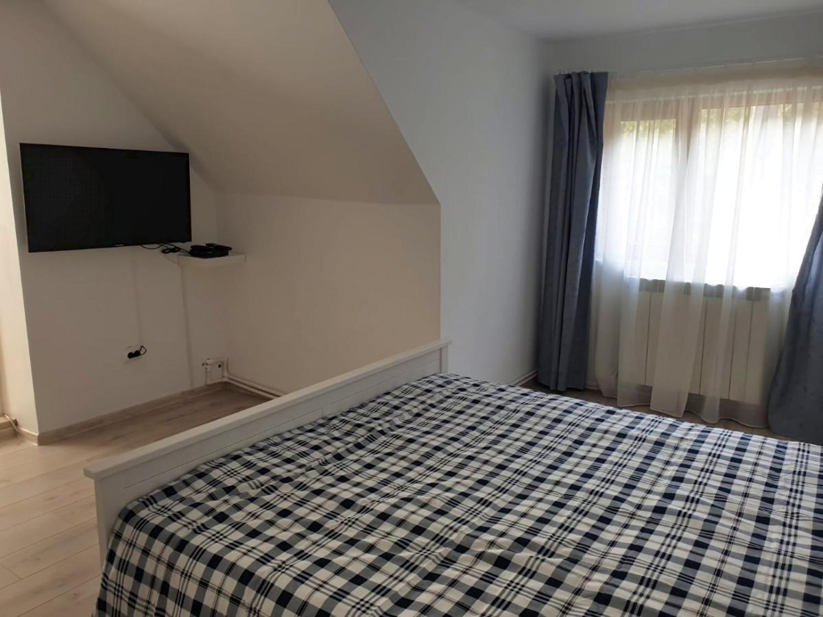 Hotel Casa Aris Lepsa Vrancea Extérieur photo