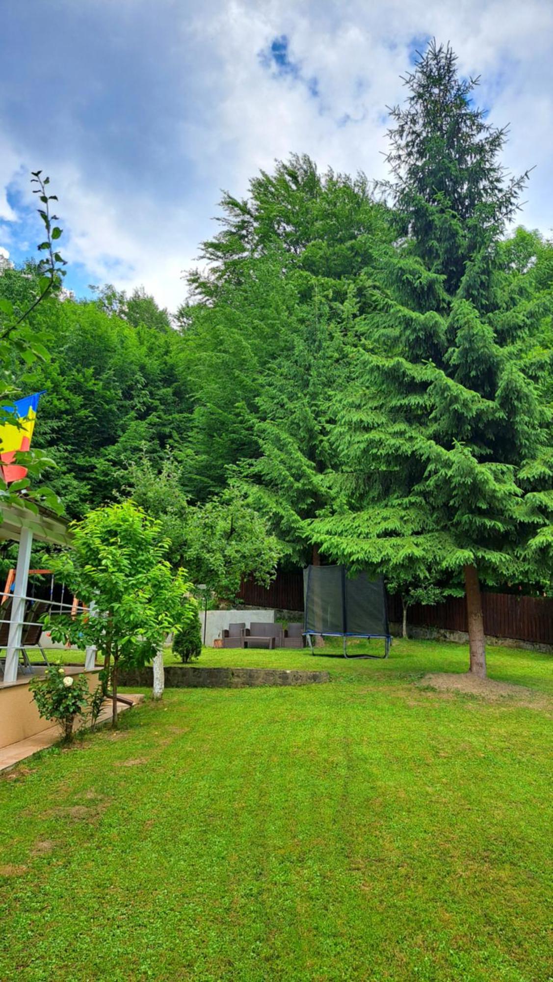 Hotel Casa Aris Lepsa Vrancea Extérieur photo