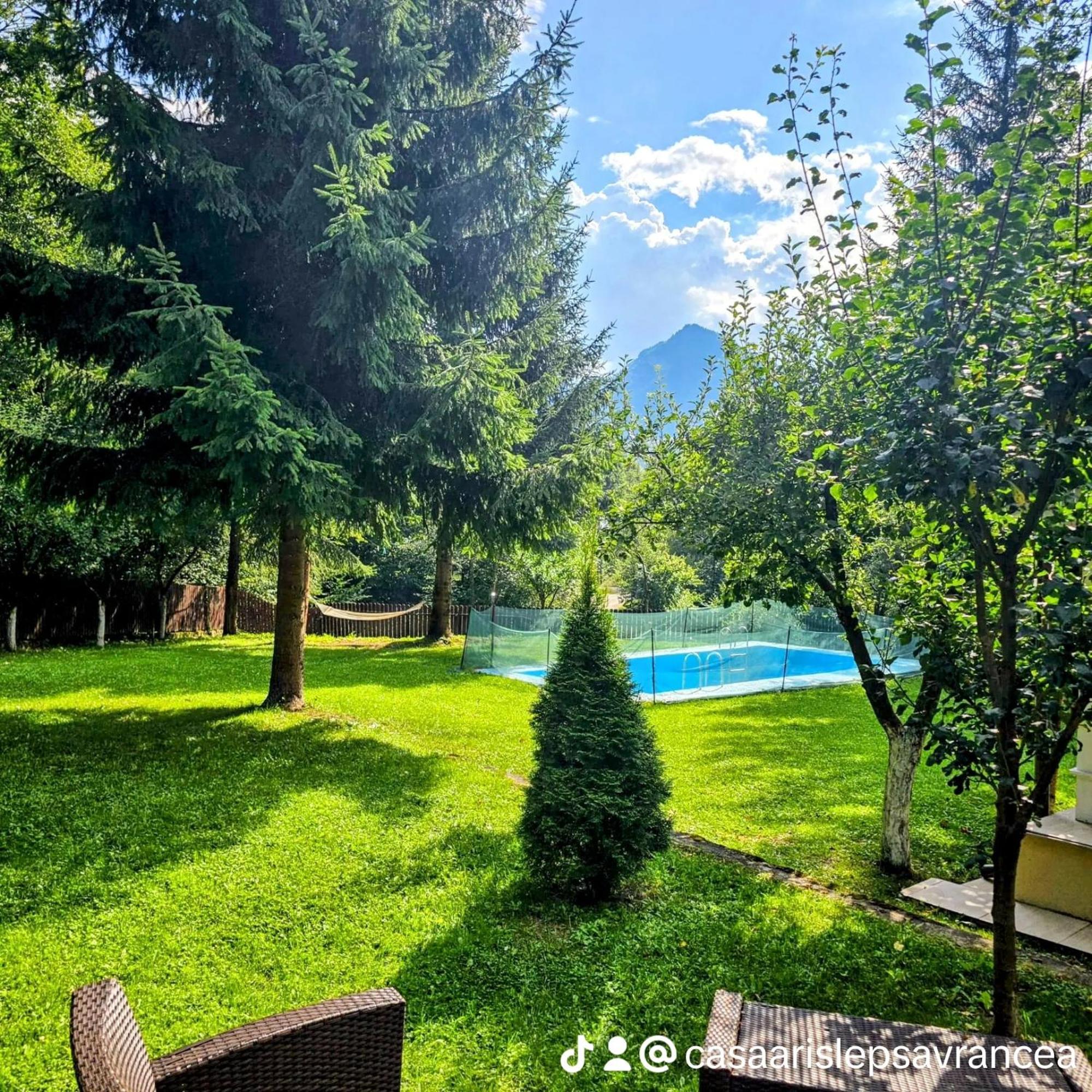Hotel Casa Aris Lepsa Vrancea Extérieur photo
